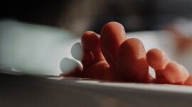 Brimob Tewas Diserang Orang Tak Dikenal. (Pexels.com/
cottonbro)