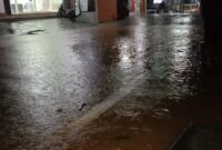 Banjir melanda sejumlah Kecamatan di Kabupaten Kepulauan Sula. (Dok. BNPB)

