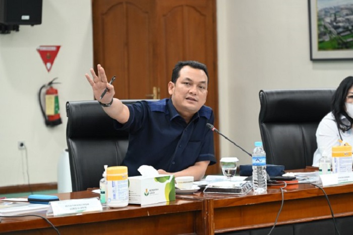 Wakil Ketua Komisi VI DPR RI Martin Y Manurung. (Dok. Dpr.go.id)