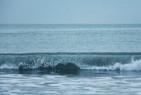 Waspada gelombang tinggi hingga empat meter. (Pexels.com/Lucila Morilla)