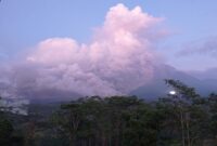Awan Panas Guguran (APG) Semeru. (Dok. BNPB)
