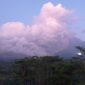 Awan Panas Guguran (APG) Semeru. (Dok. BNPB)
