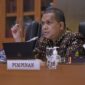 Wakil Ketua Komisi IX DPR Emanuel Melkiades Laka Lena. (Dok. DPR.go.id) 

