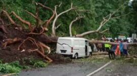 Mobil Hancur Tertimpa Longsor di wilayah Trenggalek. (Dok. Fin)
