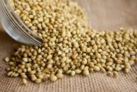 Ketumbar mengandung senyawa-senyawa antiinflamasi yang dapat membantu mengurangi peradangan dalam tubuh. (Pixabay.com/
PDPics)
