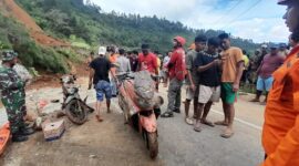 Tim gabungan dibantu warga berupaya melakukan pencarian korban di lokasi kejadian tanah longsor di Desa Bonglo, Kecamatan Bastem Utara, Kabupaten Luwu. (Dok. BPBD Kabupaten Luwu)

