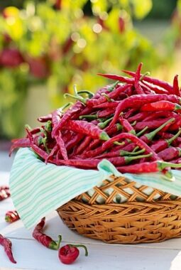 Cabai Naik, Beras Turun: Harga Pangan Bergerak Acak di Tengah Tekanan Pasar