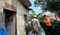 Bogor dan Denpasar Terdampak Bencana: Realitas Baru Perubahan Iklim Indonesia