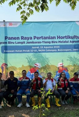 Di Balik Kesuksesan Panen Raya Pertamina di Lahan Hutan